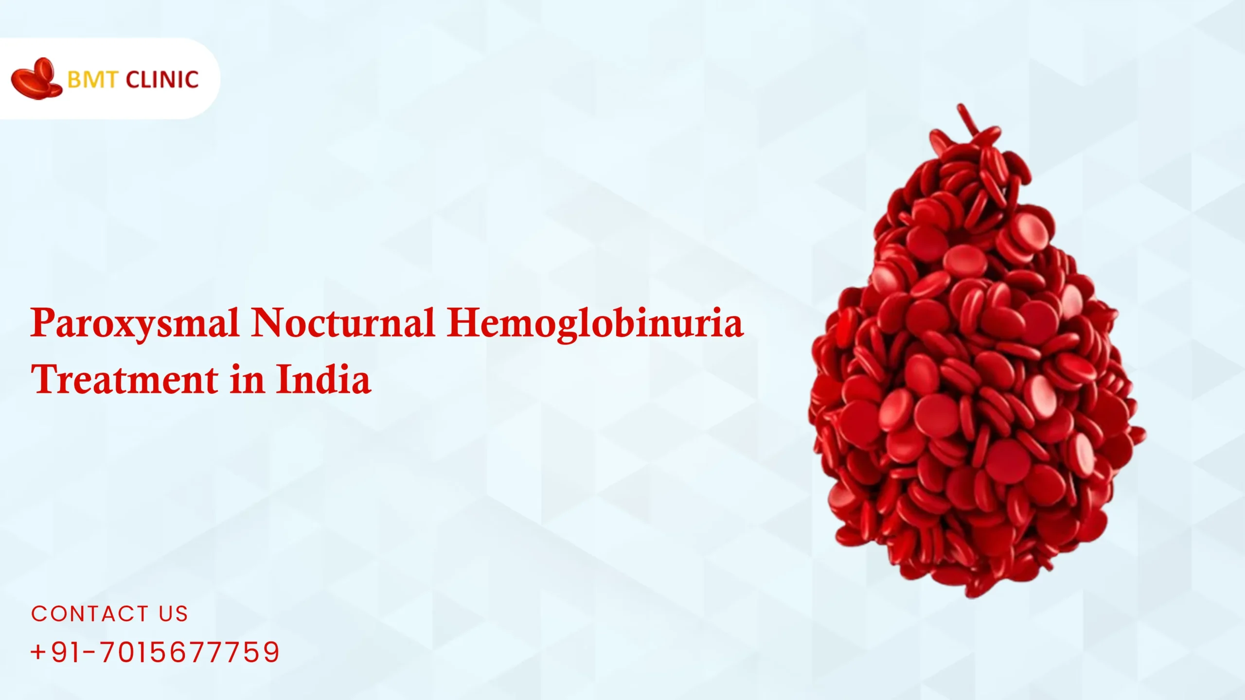 Paroxysmal Nocturnal Hemoglobinuria Treatment Cost in India